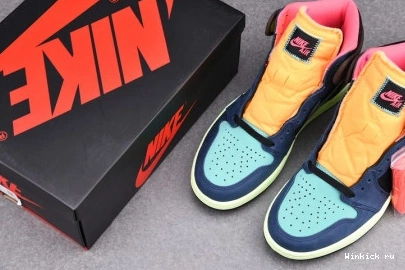 HIGH RETRO TOKYO HACK JORDAN 1 BIO AIR 1209